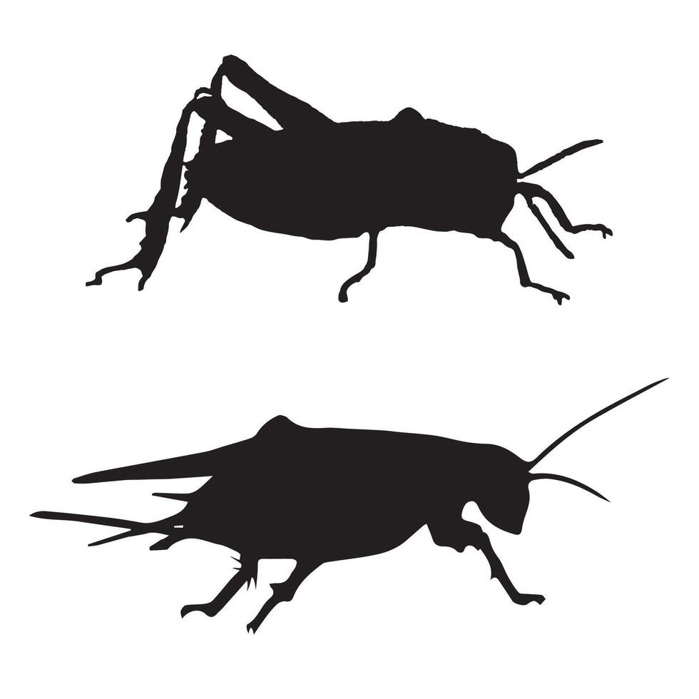 Cricket Insect Art Silhouette Illustration vector