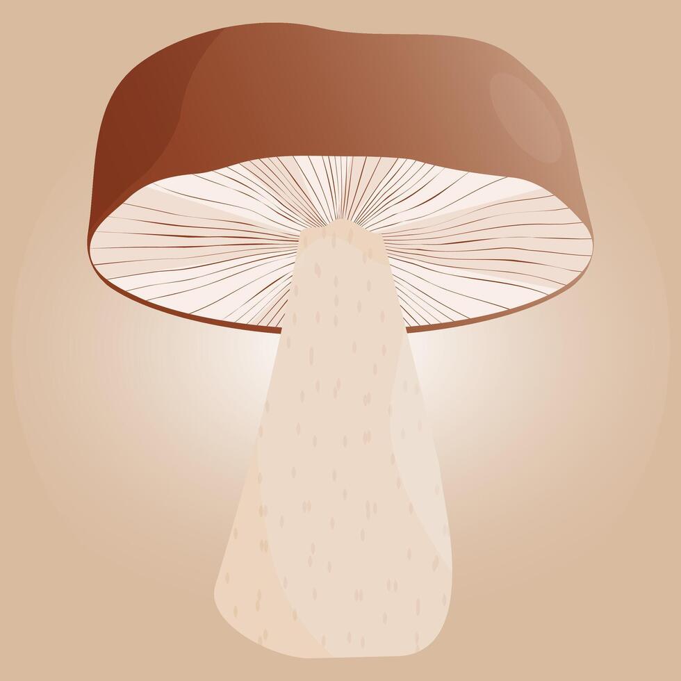 White mushroom boletus on color background. Autumn forest element vector