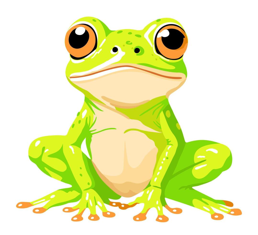 Frog. Cute bright illustration isolated on white background vector