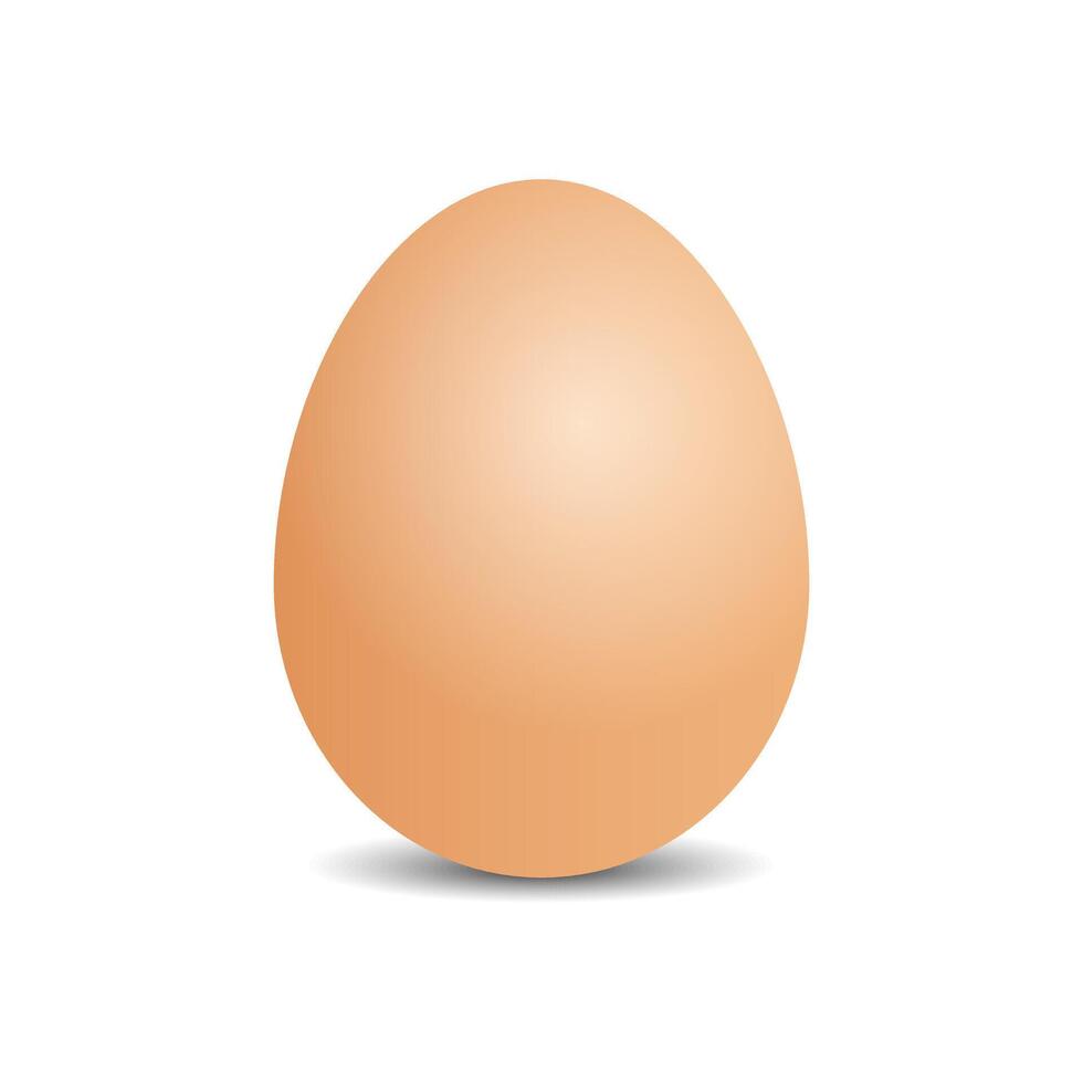 Simple Chicken egg isolated on white background vector