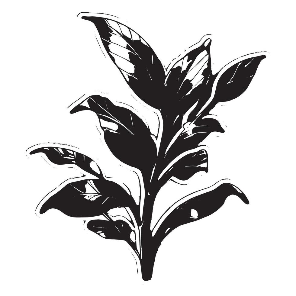 Detailed Plant Silhouette in Black on White Canvas for Minimalist Texture Overlays and Botanical Backgrounds vector