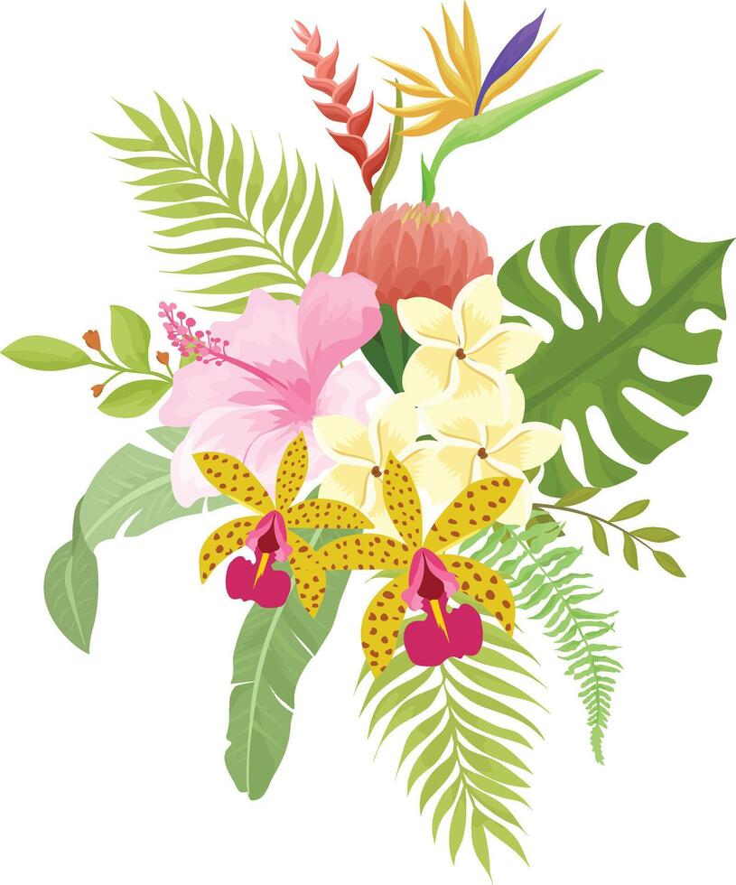 Tropical bouquet with exotic flowers hibiscus, plumeria, strelitzia and palm, monstera leaves. Summer or spring design elements for fashion prints and greeting cards. vector