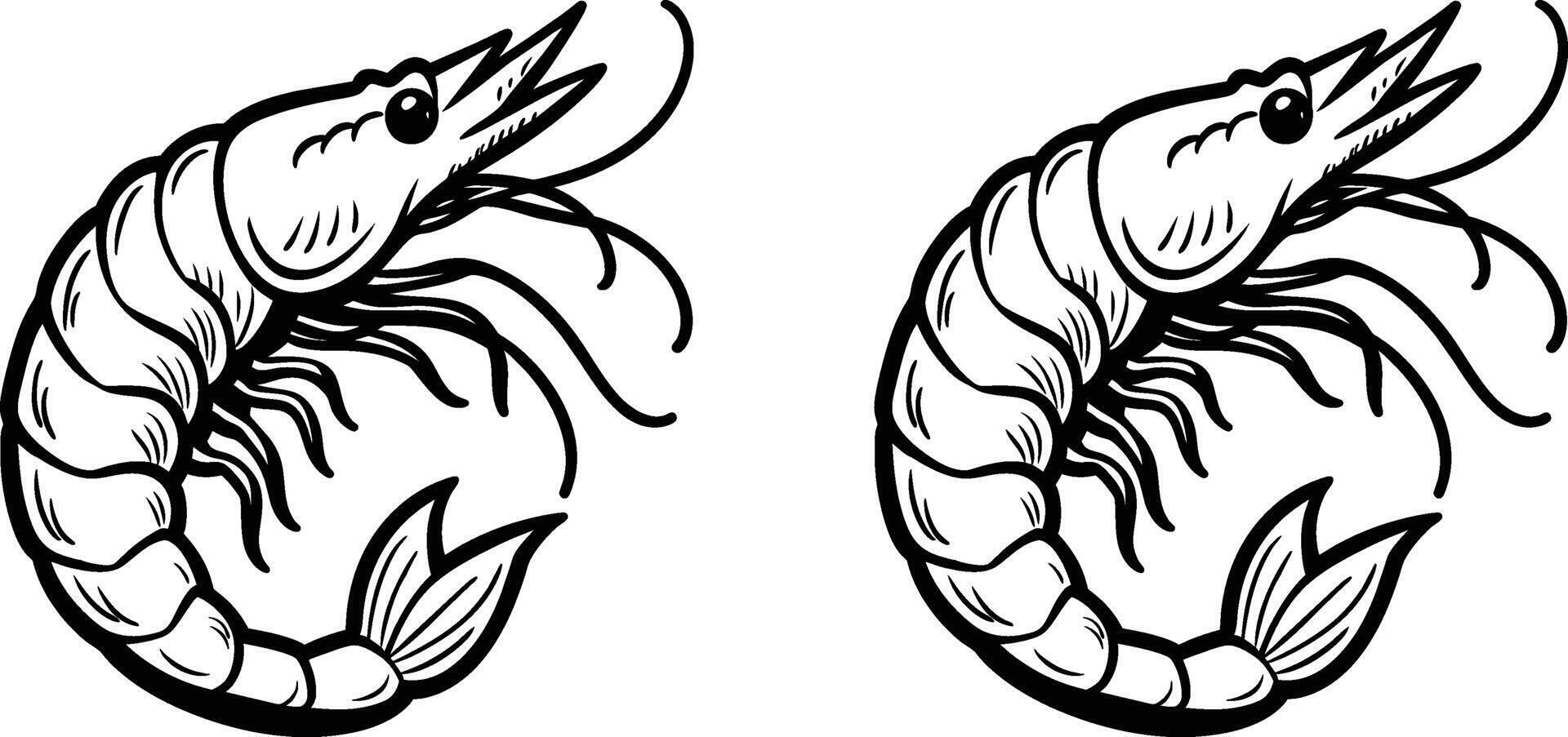 Outline shrimp illustration vector