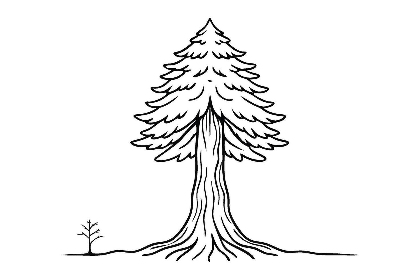 Redwood tree Hand drawn line art flat illustration on white background. vector