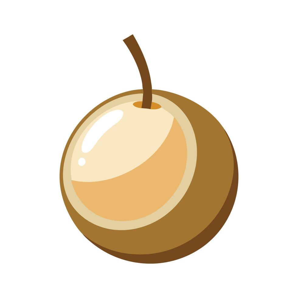 Longan fruit isolated flat illustration on white background vector