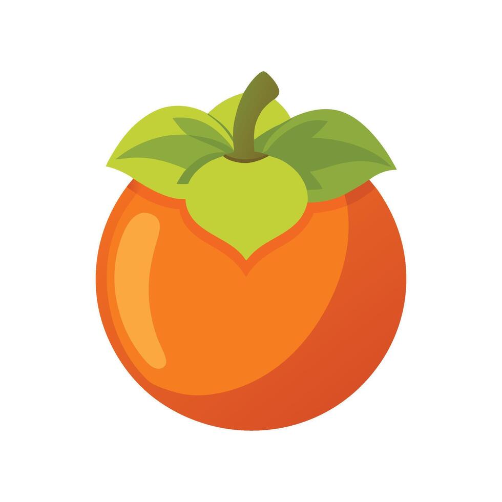 Persimmon fruit isolated flat illustration on white background vector