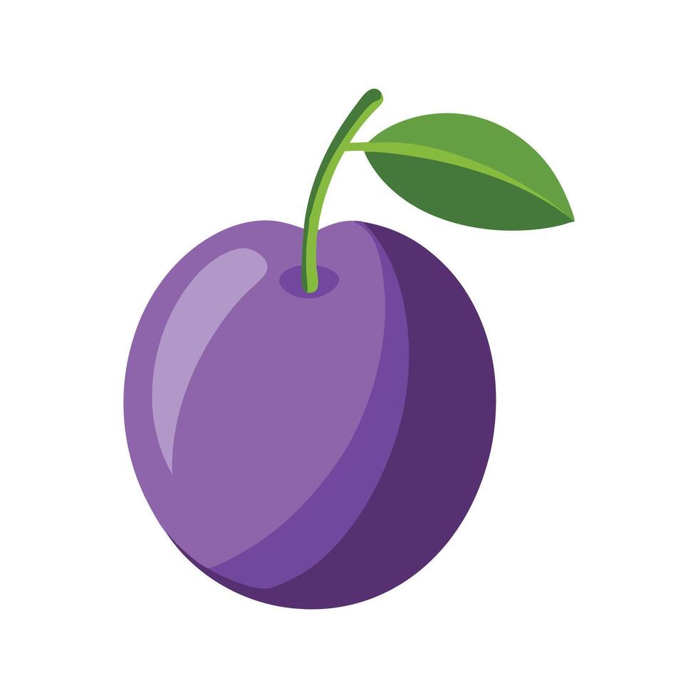 Plum fruit isolated flat illustration on white background vector