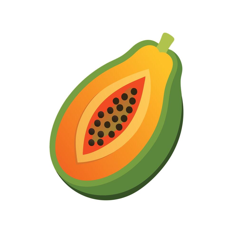 Papaya fruit isolated flat illustration on white background. vector