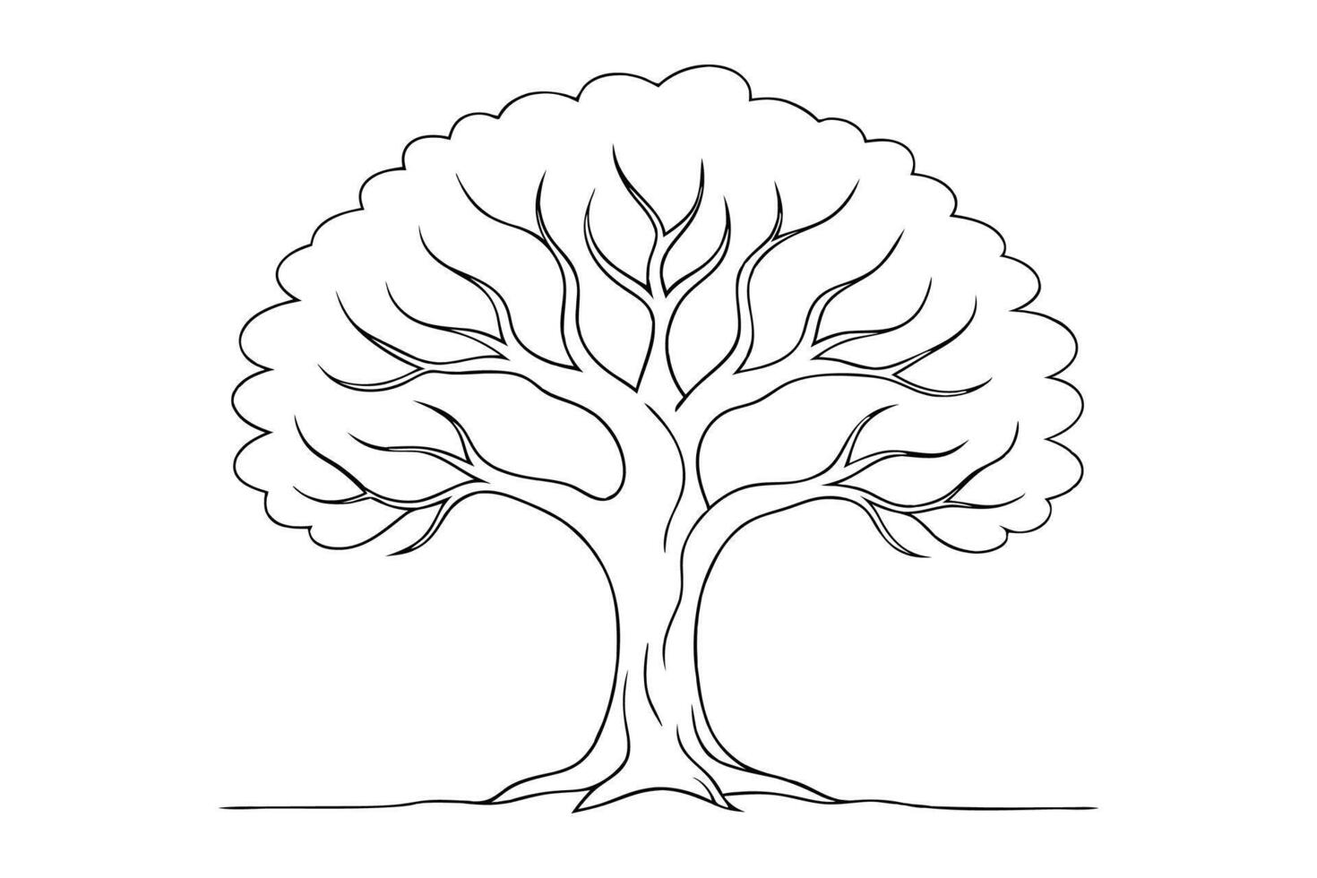 Sycamore tree Hand drawn line art flat illustration on white background. vector