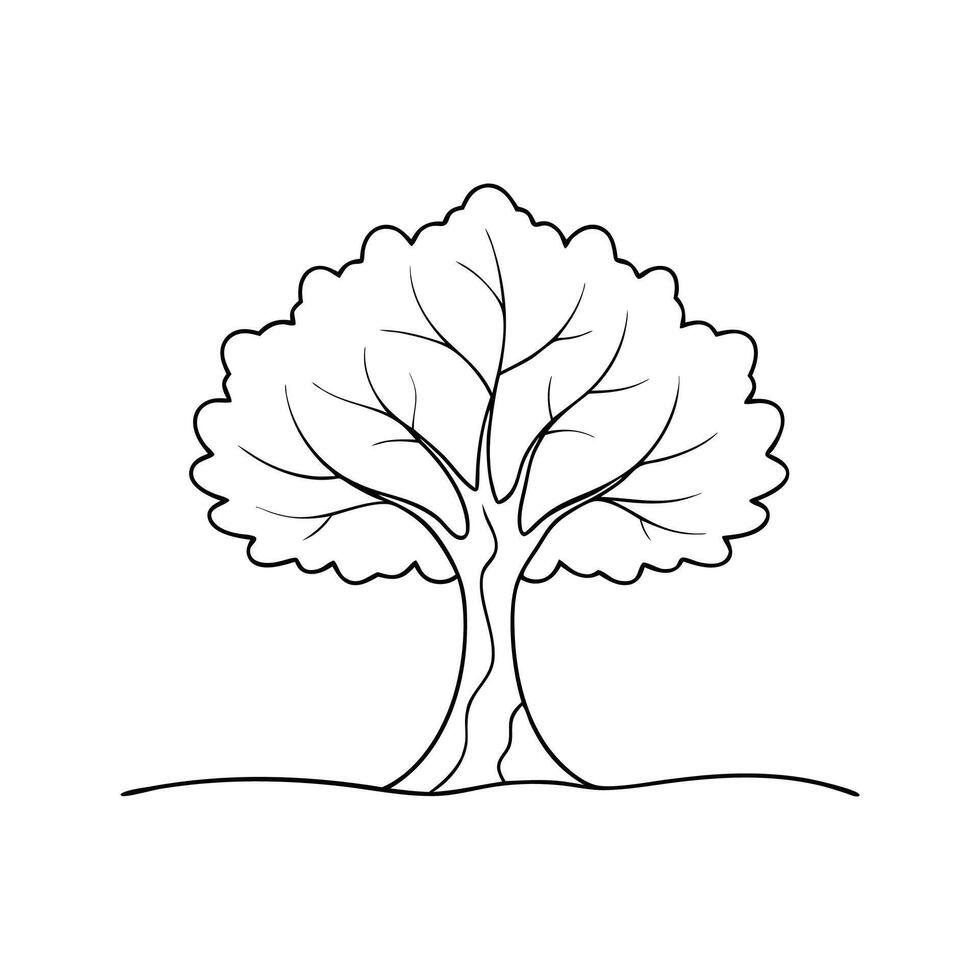 Maple tree Hand drawn line art flat illustration on white background vector