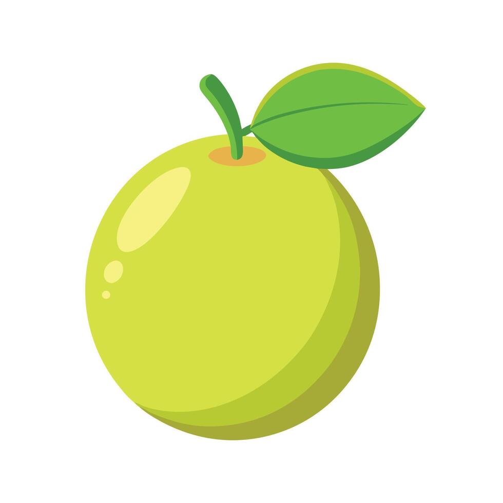 Guava fruit isolated flat illustration on white background. vector