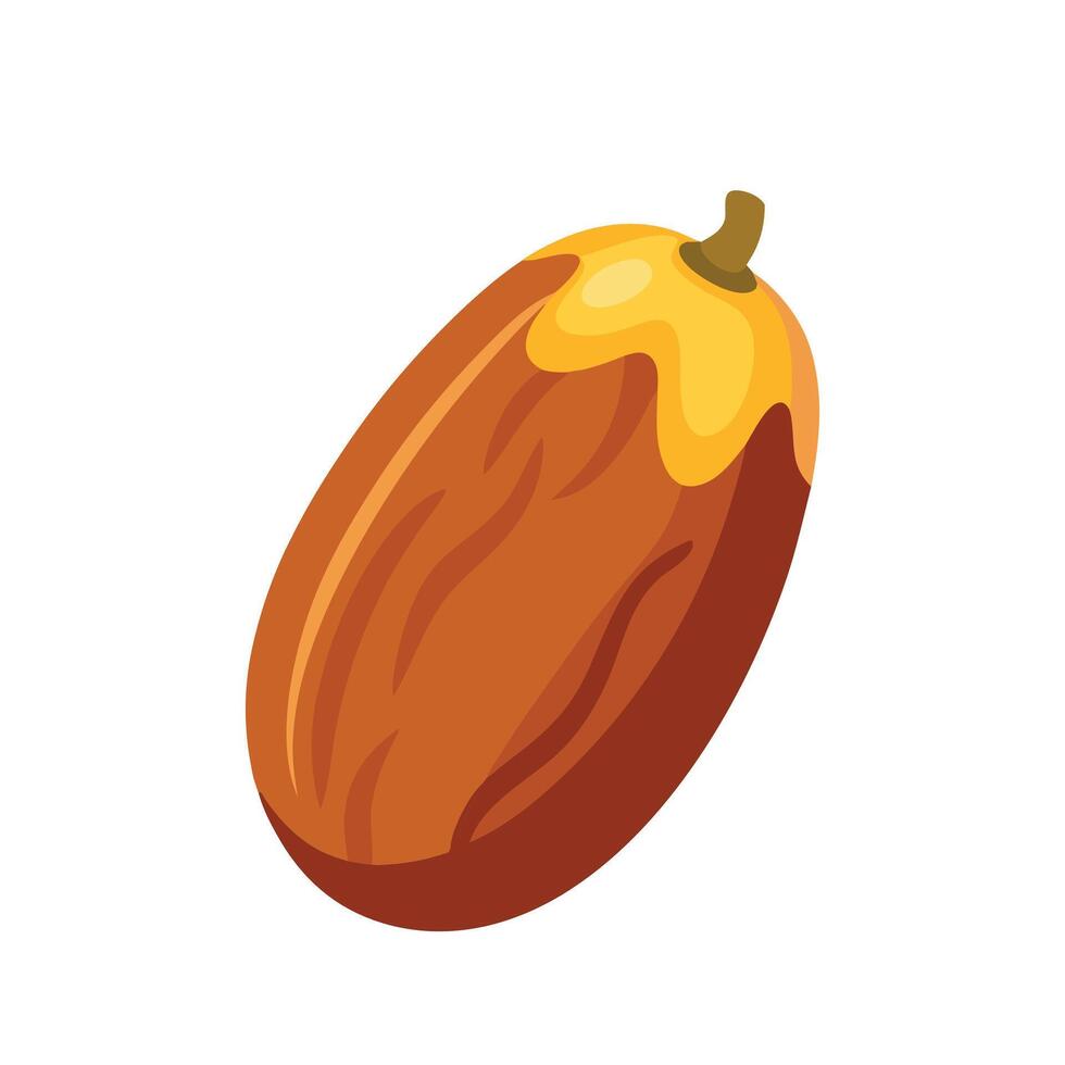 Date fruit isolated flat illustration on white background vector