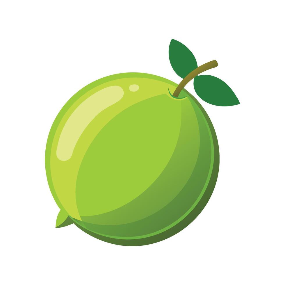 Lime fruit isolated flat illustration on white background vector