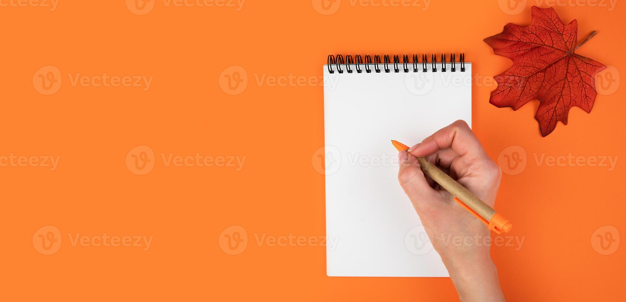 Women's hand with a pen and empty notepad on an orange background with autumn leaf. Banner. Flatlay. Top view. Copy space. Selective focus. photo
