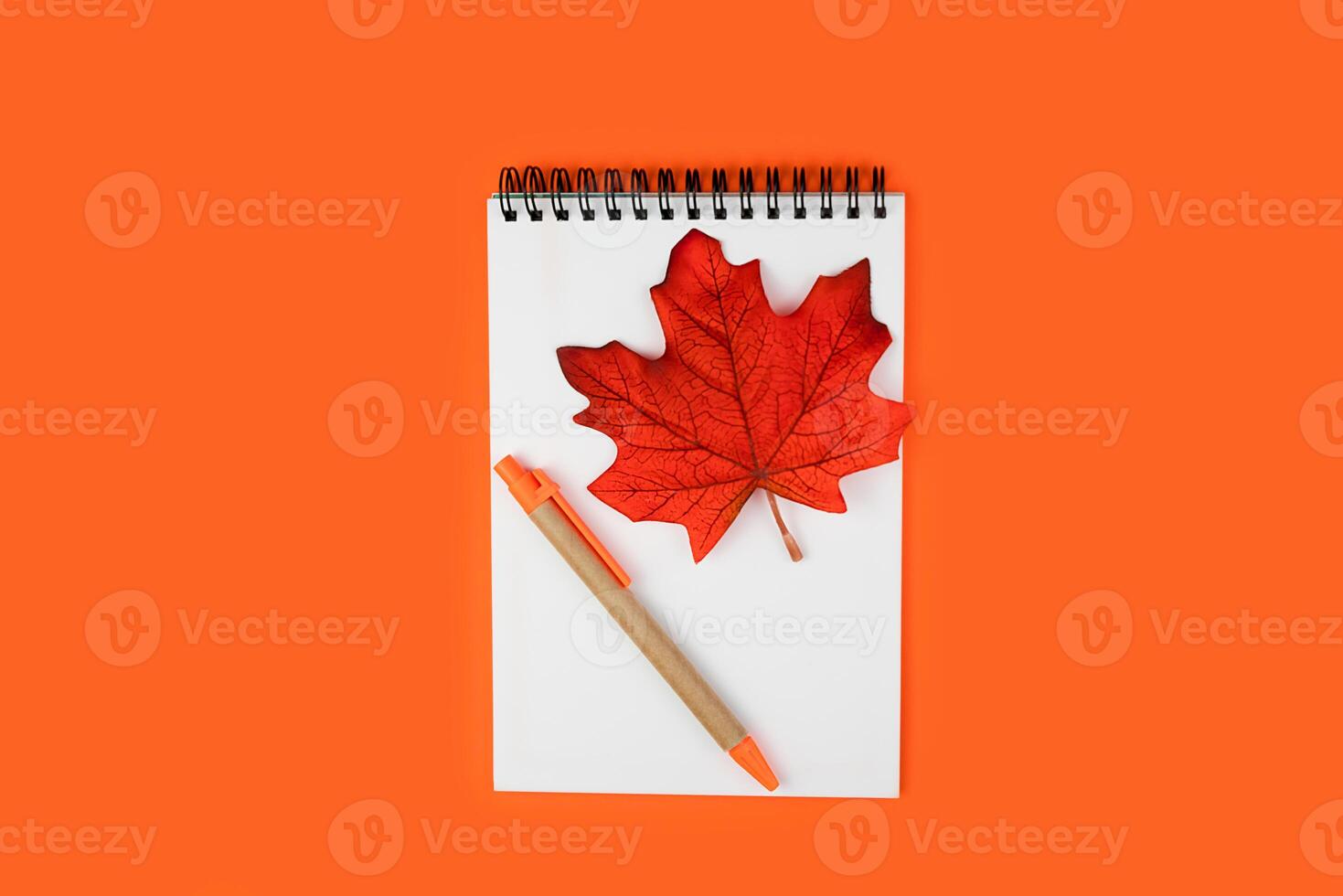 School autumn composition with notepad with pen and autumn leaf on orange background. Flatlay. Top view. Copy space. photo