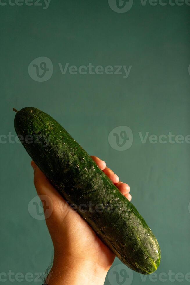 Man hand holding a cucumber against a muted green background. Perfect for culinary or health-themed projects. photo