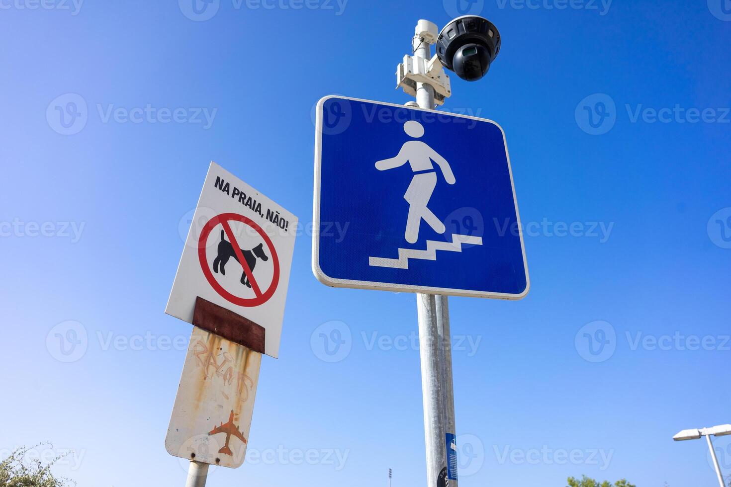 A CCTV camera at Praia da Rocha, Algarve, Portugal, monitors safety near a No Dogs Allowed sign, ensuring compliance and enhancing public security on this popular beach. photo