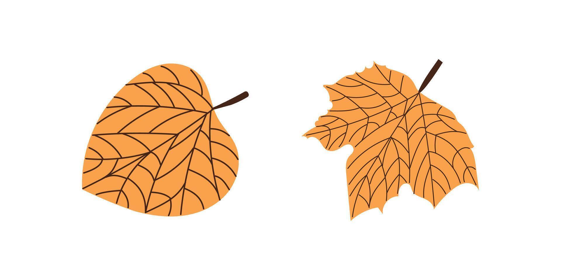 flat style leaf illustration. Vintage sketch element for the design of labels, packaging and postcards. vector