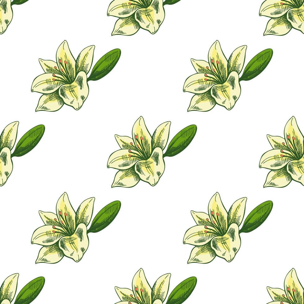 Hand drawn lily seamless pattern. tattoo design element. Vintage illustration. vector