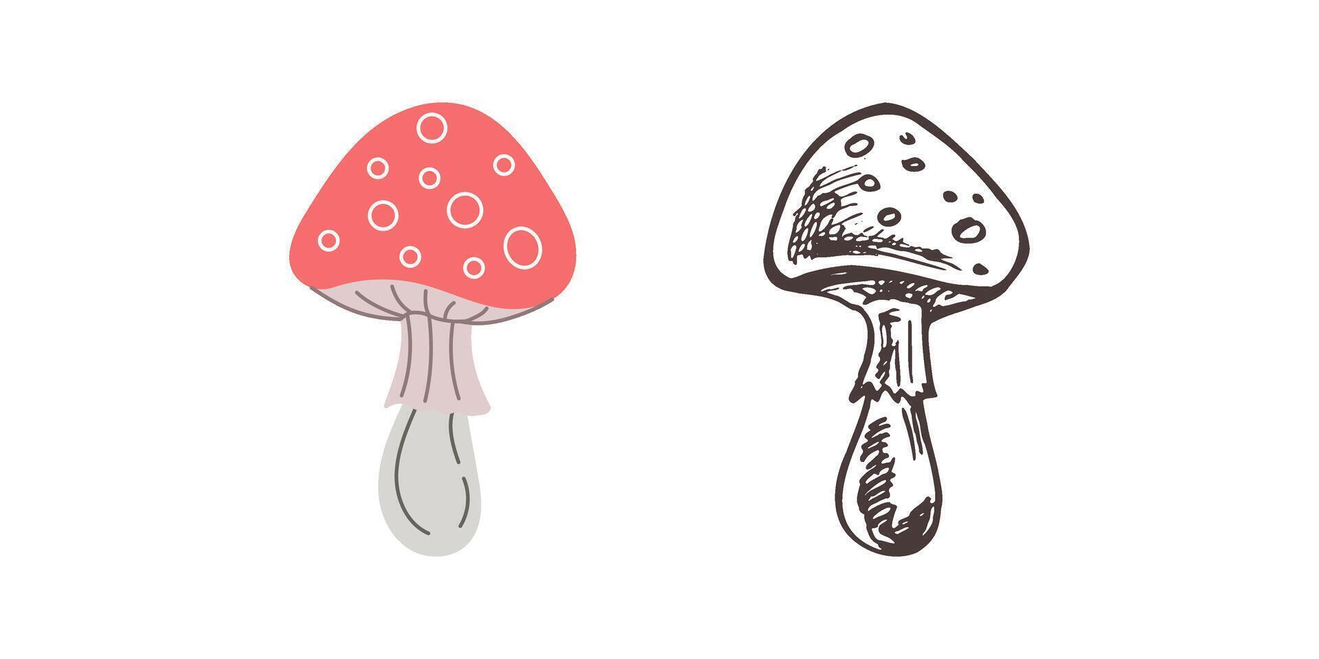 Illustration of Poisonous mushroom, toadstool, fly agaric. Flat and sketch style illustration. vector
