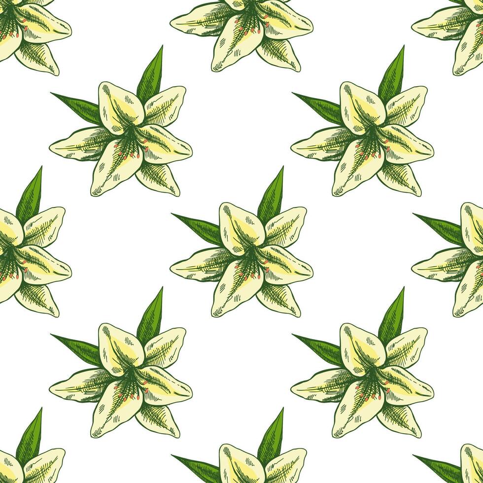 Hand drawn lily seamless pattern. tattoo design element. Vintage illustration. vector