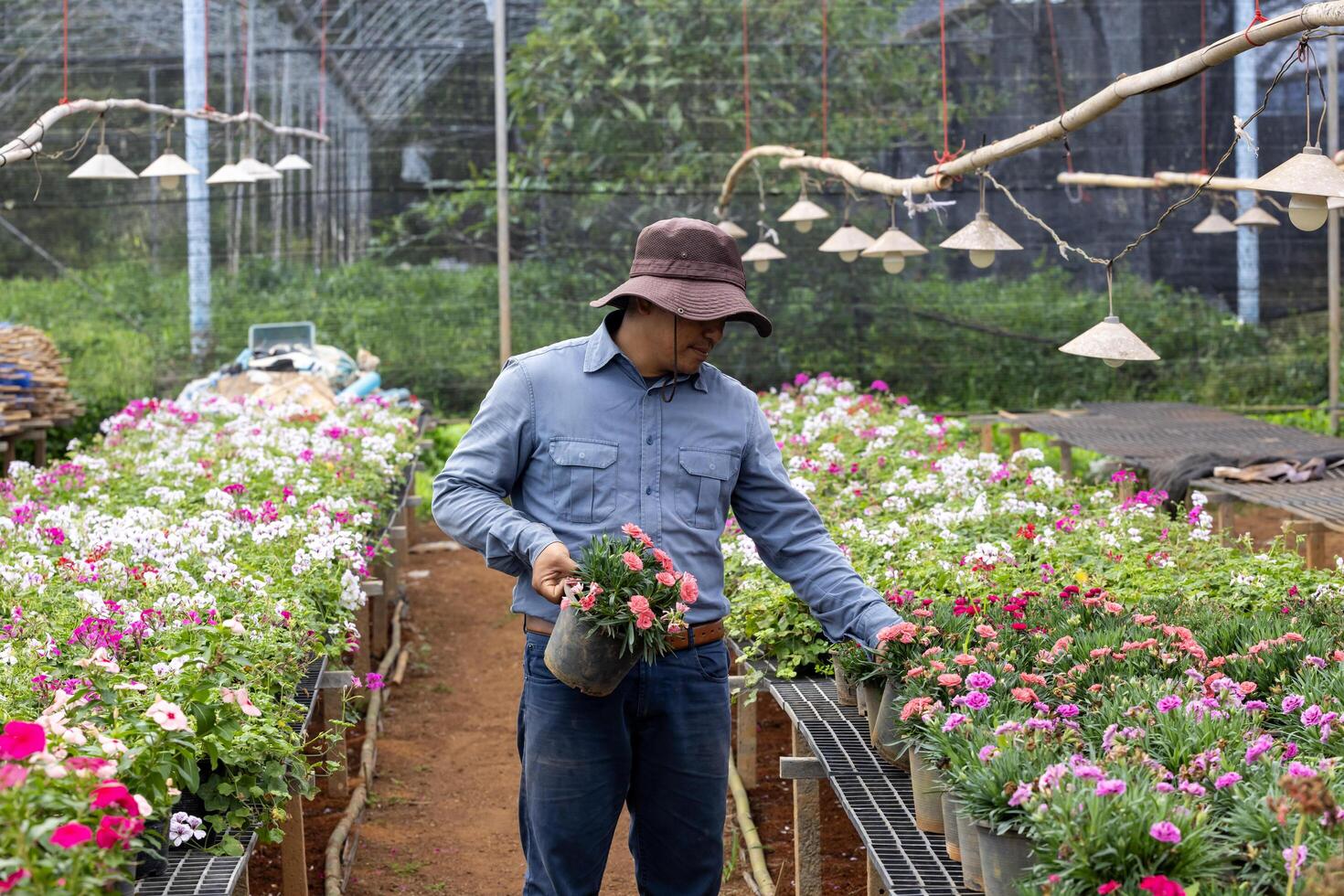 Young Asian gardener is choosing flowering plant from local garden center nursery full of summer plant for weekend gardening and outdoor hobby photo
