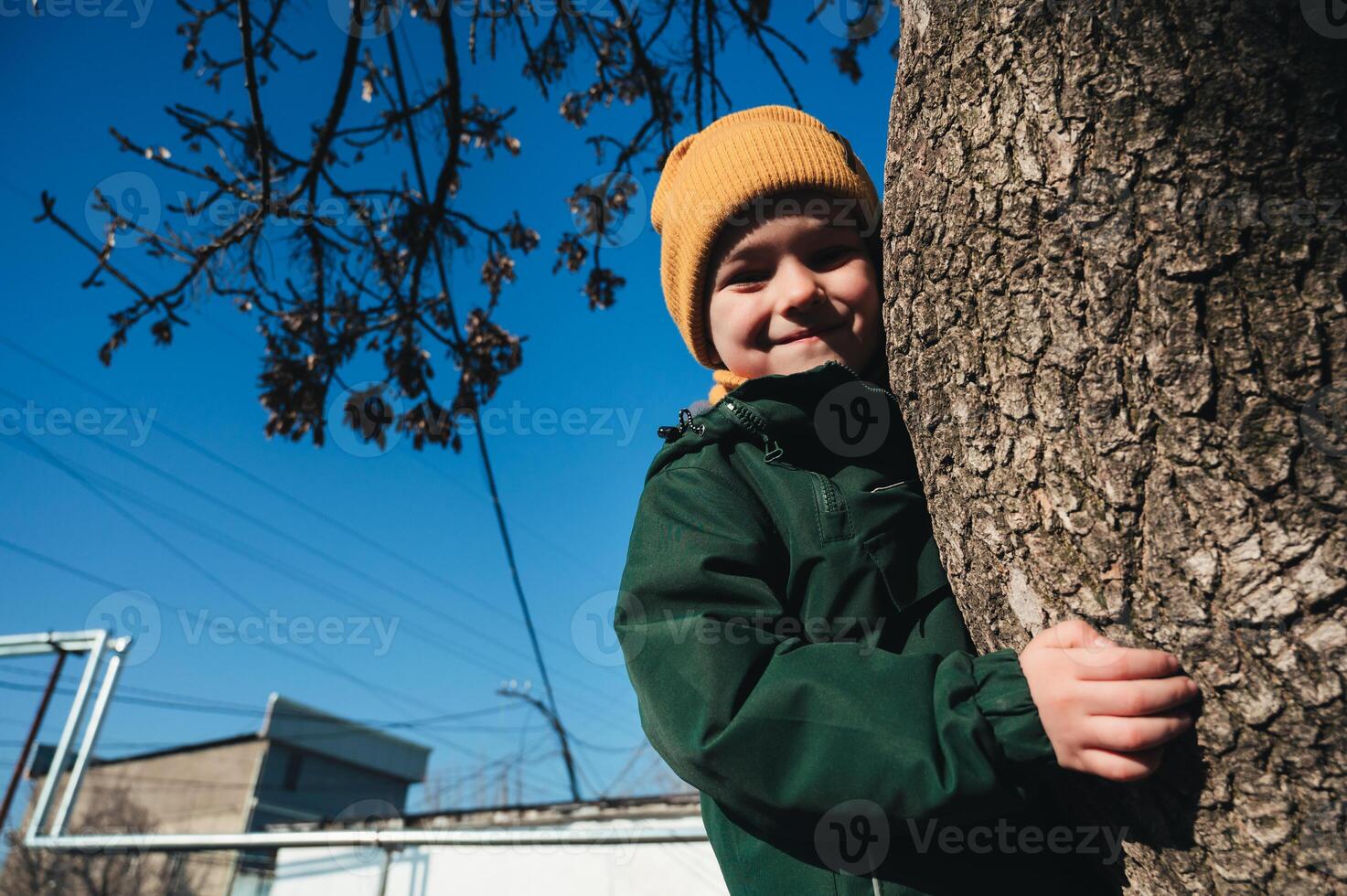 small child kid boy plays and climbs a tree on playground in autumn photo