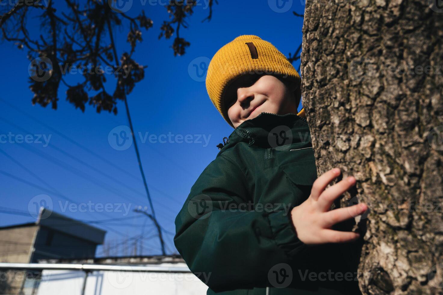 small child kid boy plays and climbs a tree on playground in autumn photo