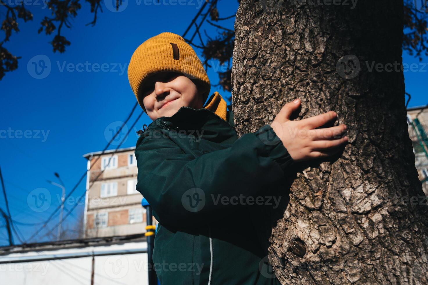 small child kid boy plays and climbs a tree on playground in autumn photo