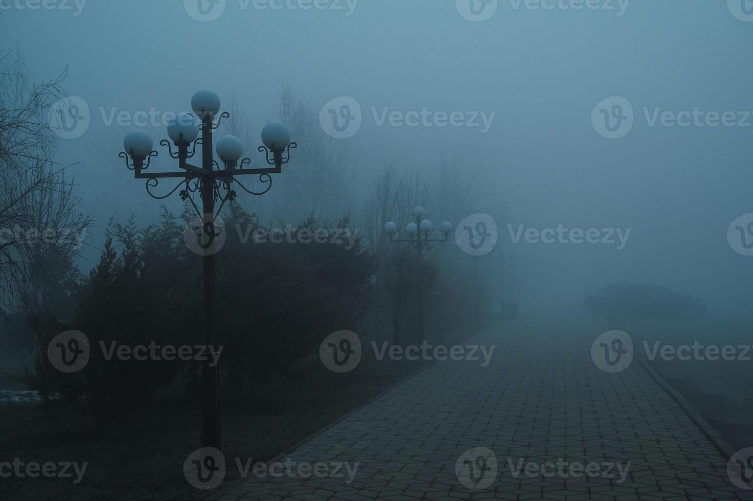 foggy alley with lanterns in the park with fog mist in morning in autumn photo