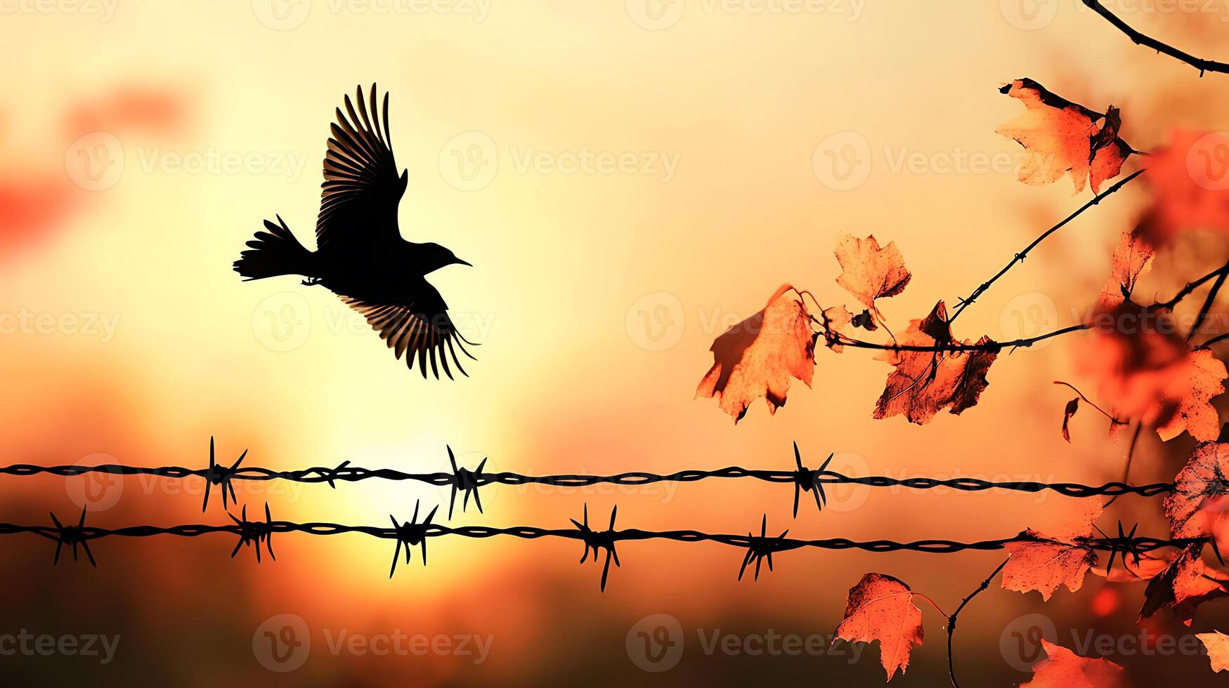 A bird flies over a barbed wire fence at sunset, with fall leaves in the background, symbolizing freedom and hope. photo