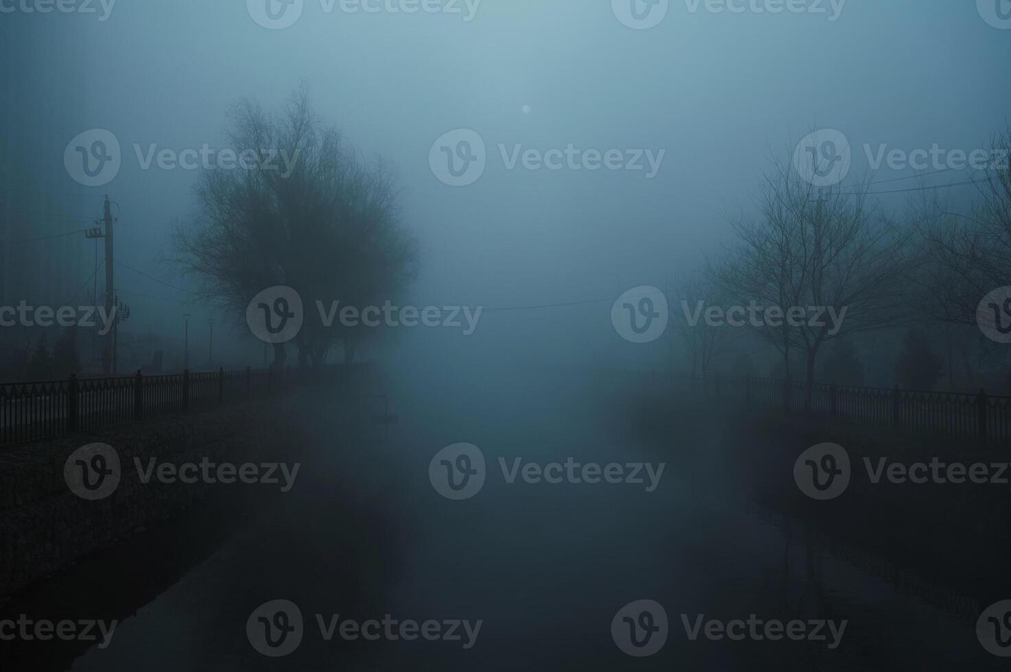 foggy landscape with a river and trees on an alley in the city on an autumn evening in fog mist photo