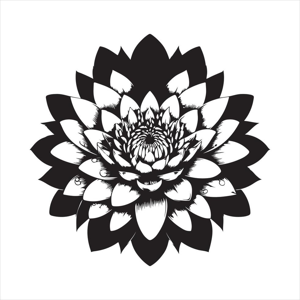 water lily, water lilies, top view silhouette on white background vector