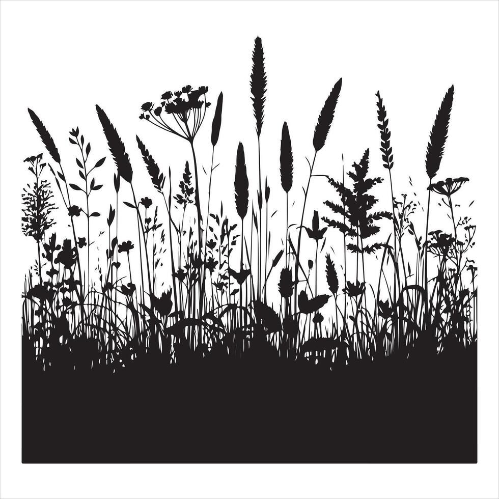 Field with cereals, grass and wild herbs silhouette on white background vector