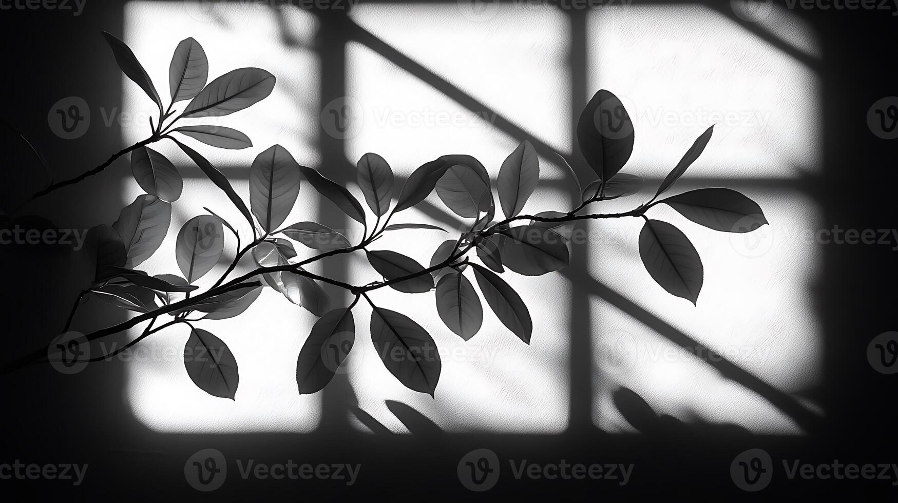A branch with leaves casts shadows on a wall through a window. photo
