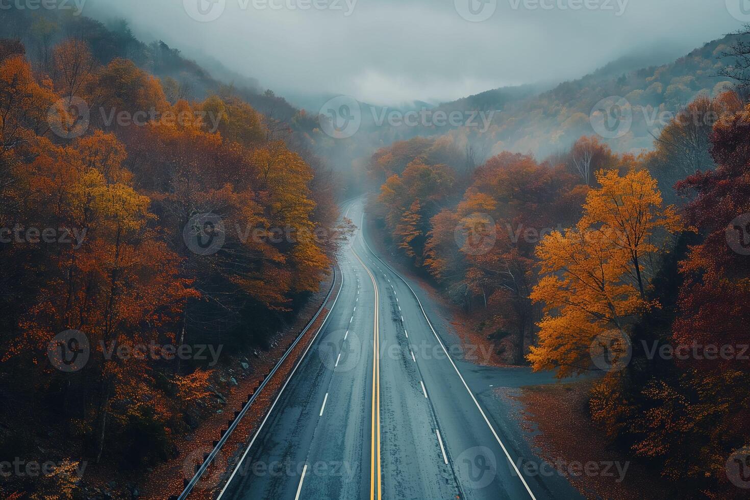 Asphalt road through an autumn misty forest, mountains. Travelling in the autumn time photo