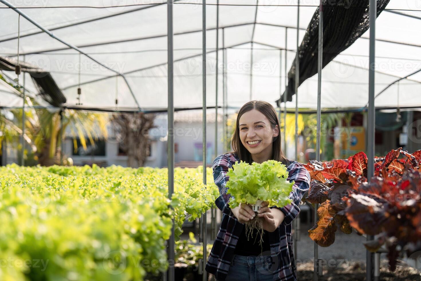 Young Woman Farmer Smiling and Holding Fresh Organic Vegetables in a Greenhouse on Her Sustainable Farm photo