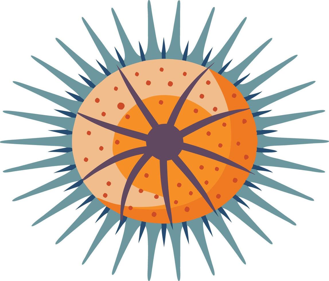 illustration of a sea urchin with spines and textured shell, highlighting marine life vector