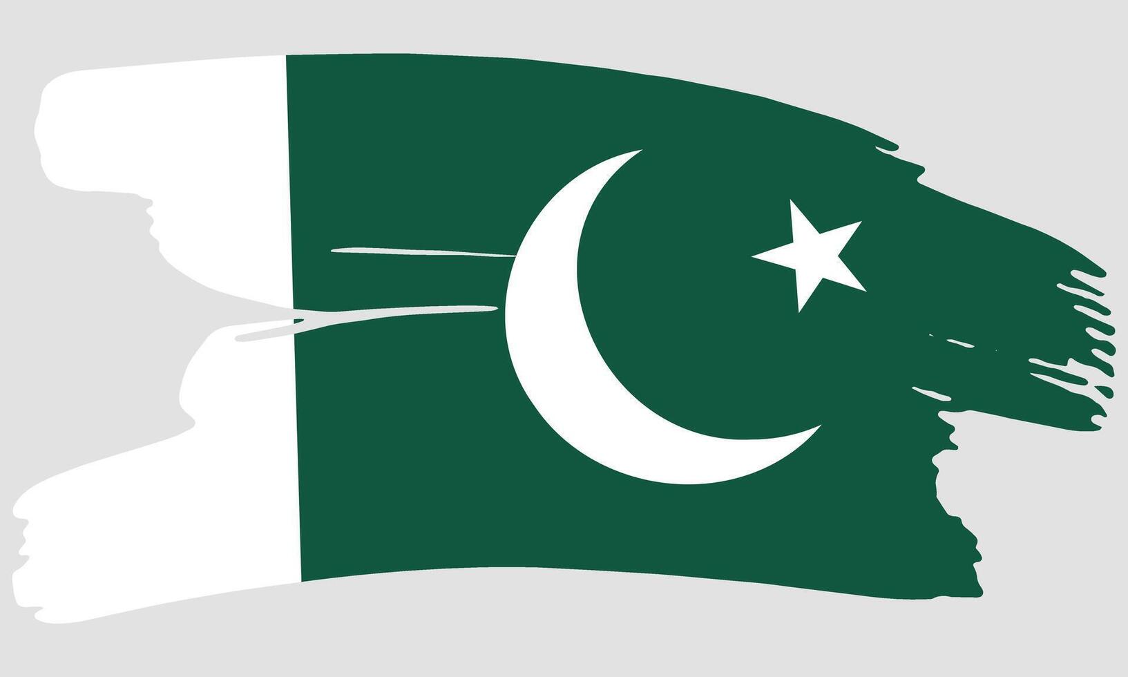 Pakistan flag brush paint texture. Grunge Pakistan flag. Pakistan emblem brush concept vector