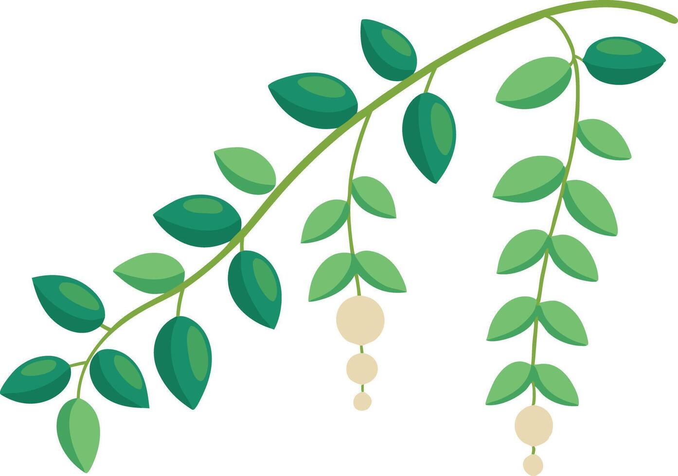 illustration of a green leafy branch with small round fruits vector