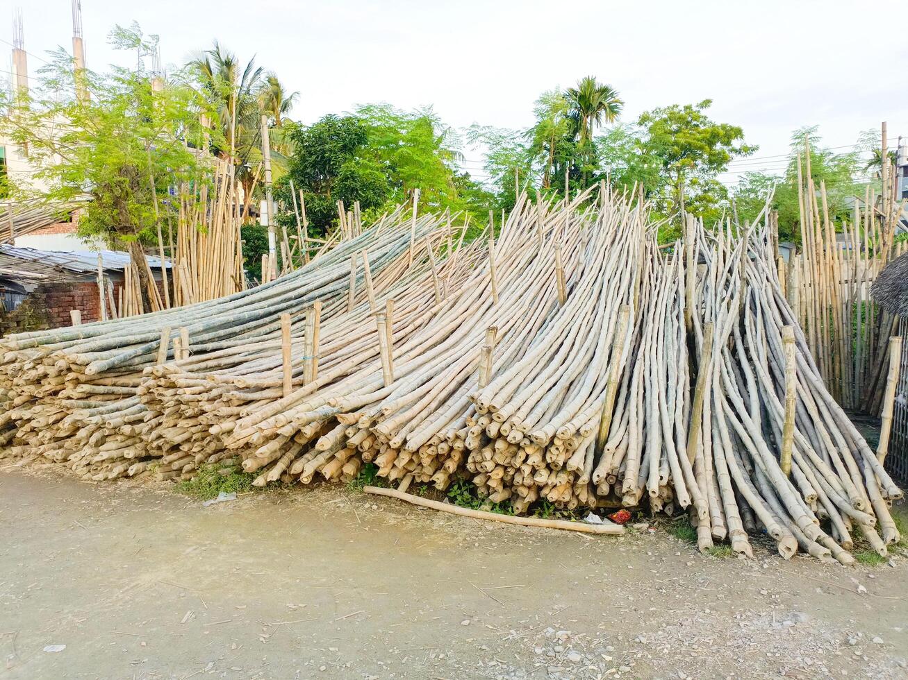 Bamboo covering plates identifiable in construction and utilizes bamboo located at a Bangladeshi market photo
