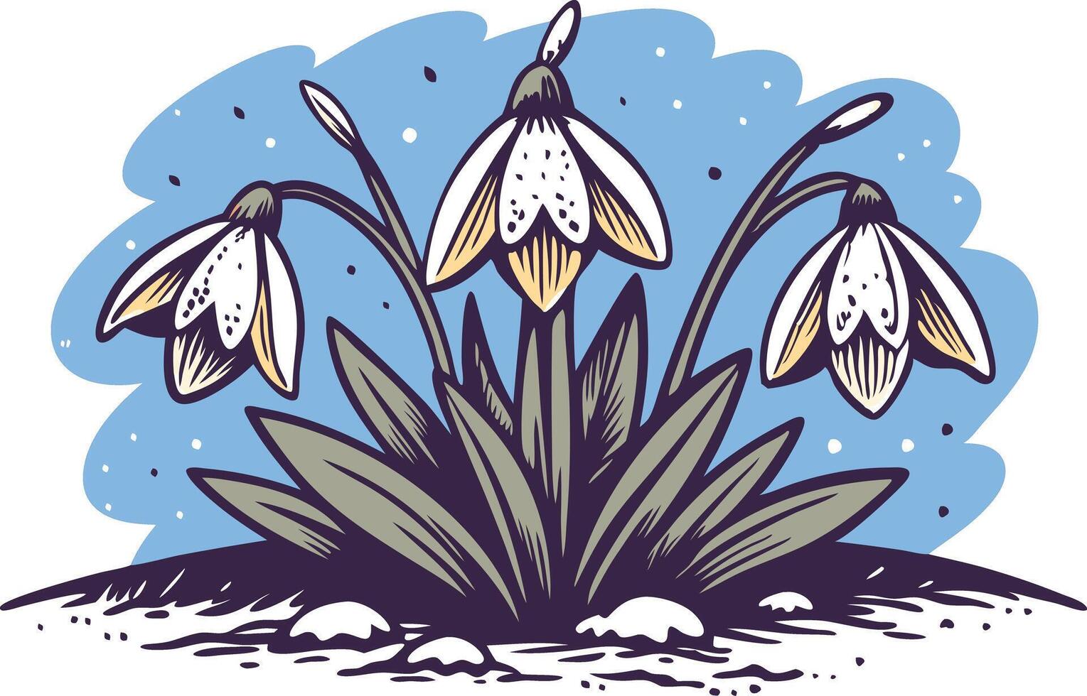 Snowdrop flowers blooming in a garden during early spring vector