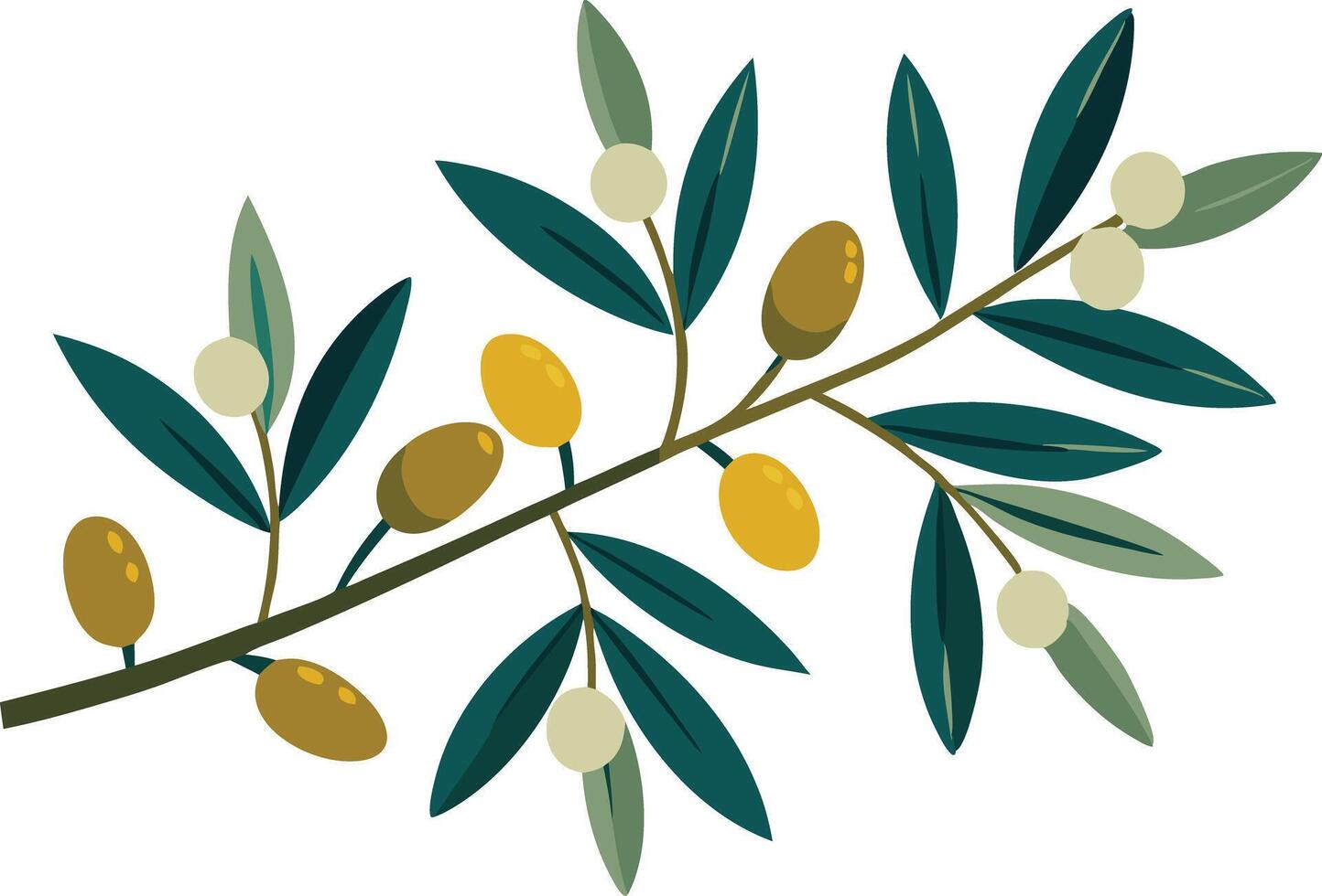 A detailed illustration of an olive branch with green leaves and ripe olives vector