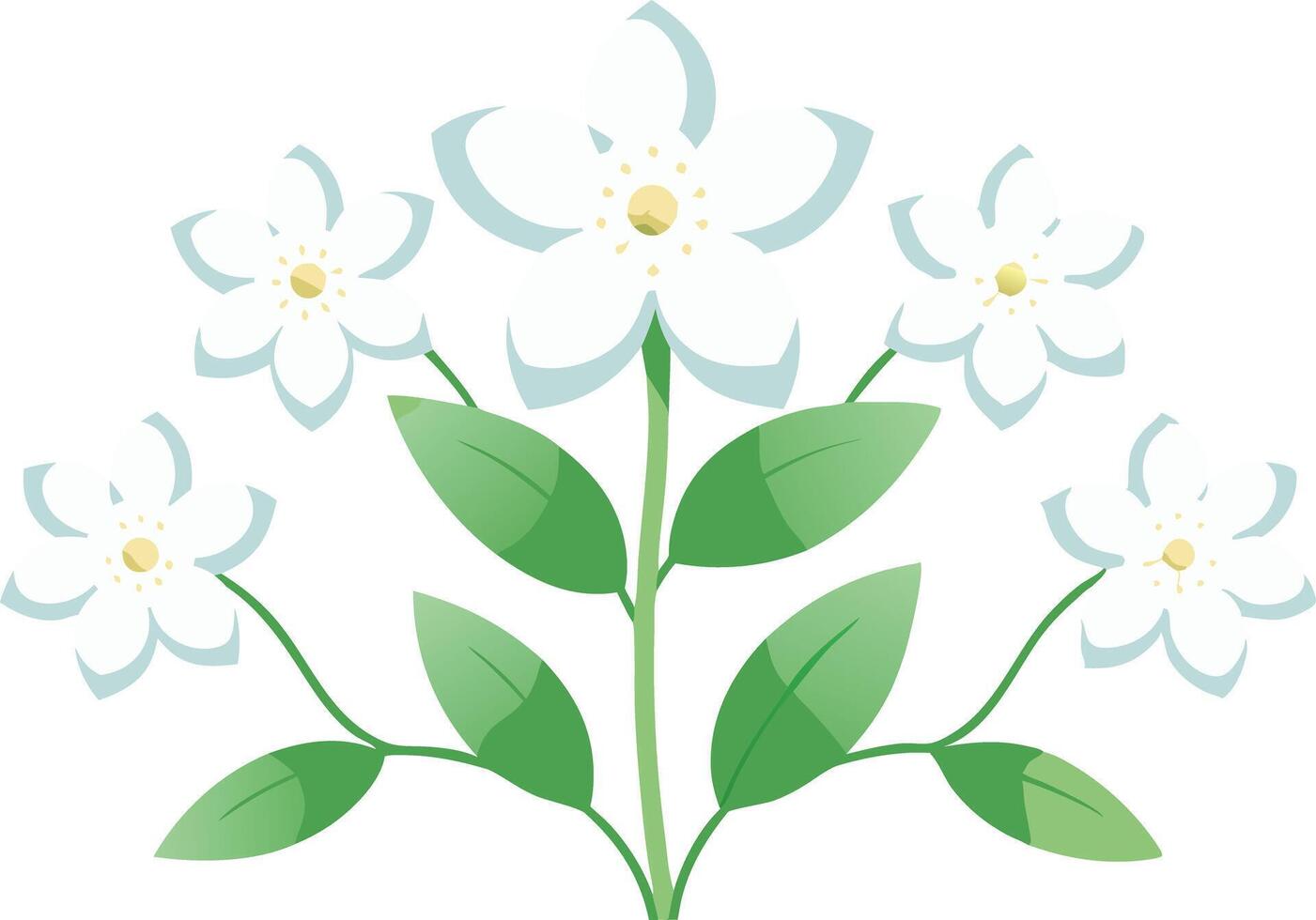 White flowers with green leaves arranged in a illustration vector