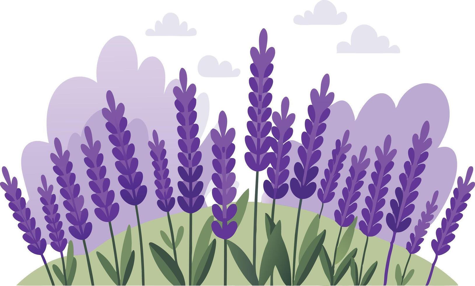 Lavender flowers blooming in a pastel landscape vector