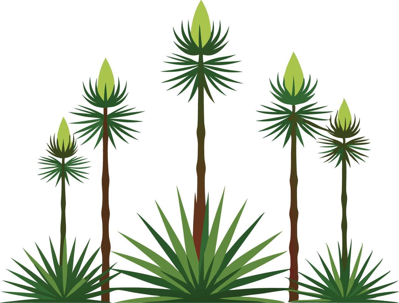 illustration of a group of tall green plants with pointed leaves vector