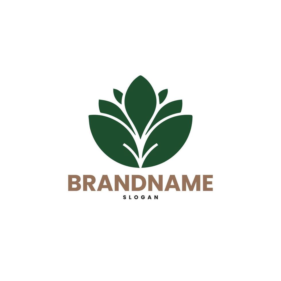 a stylized green leaf logo design vector
