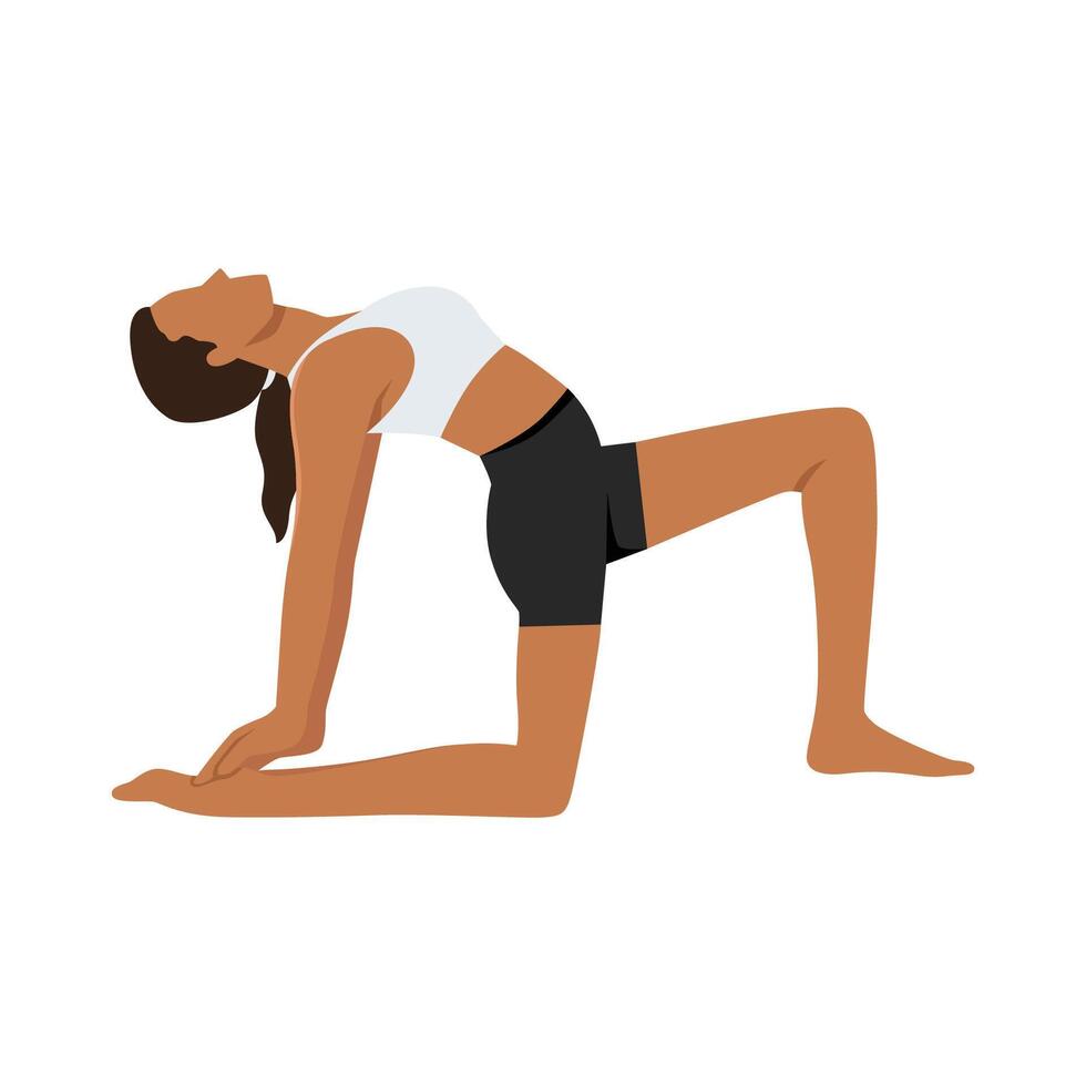 Young woman doing Camel Pose Variation One Leg In Front or Ustrasana Variation One Leg In Front. vector