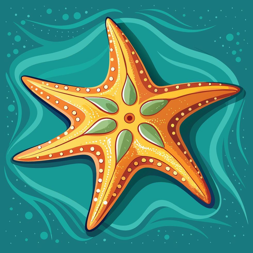Starfish illustration with background vector