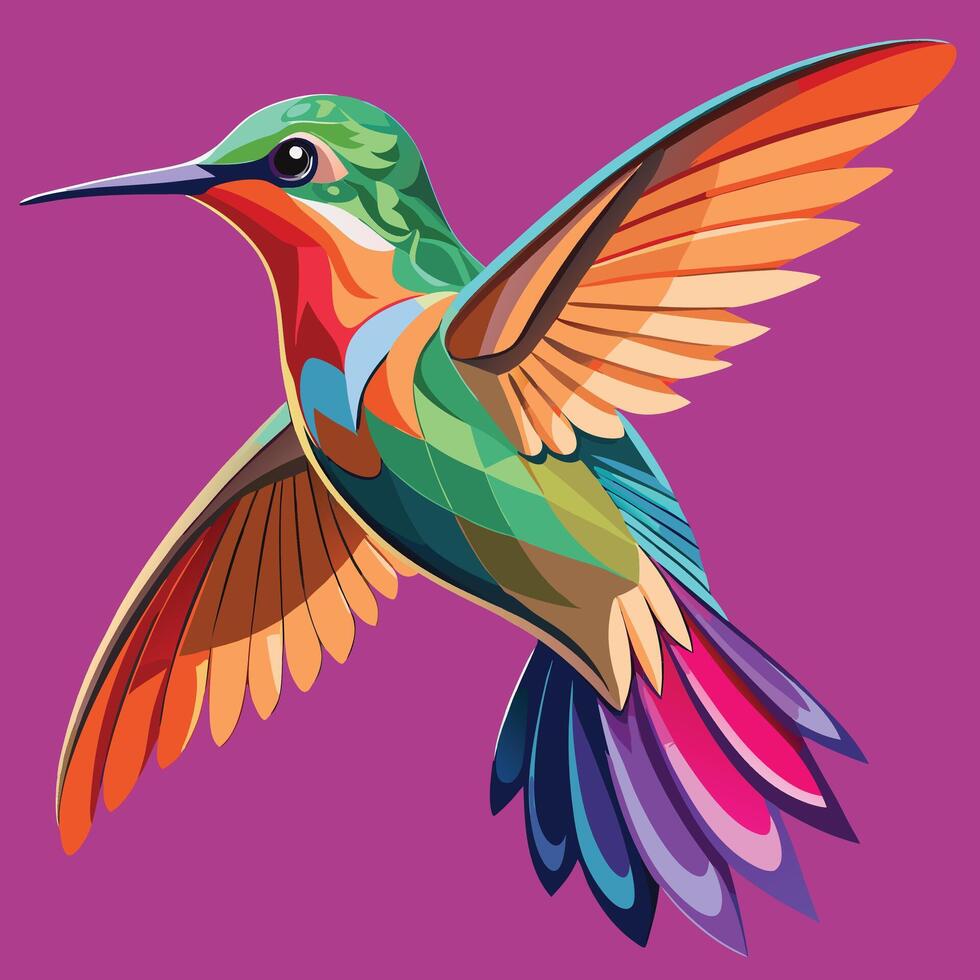hummingbird Illustration on solid background vector